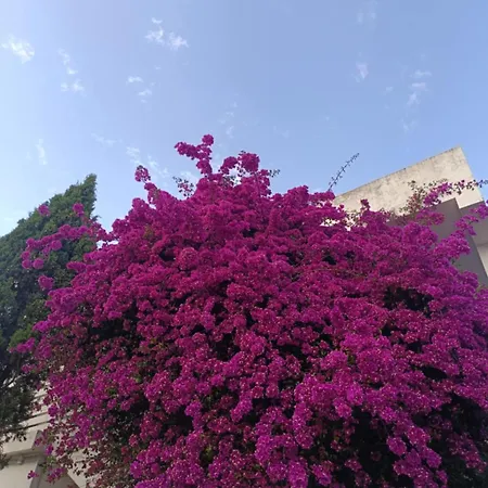 شقة Piazzetta A Mare *